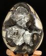 Septarian Dragon Egg Geode - Black Crystals #47473-1
